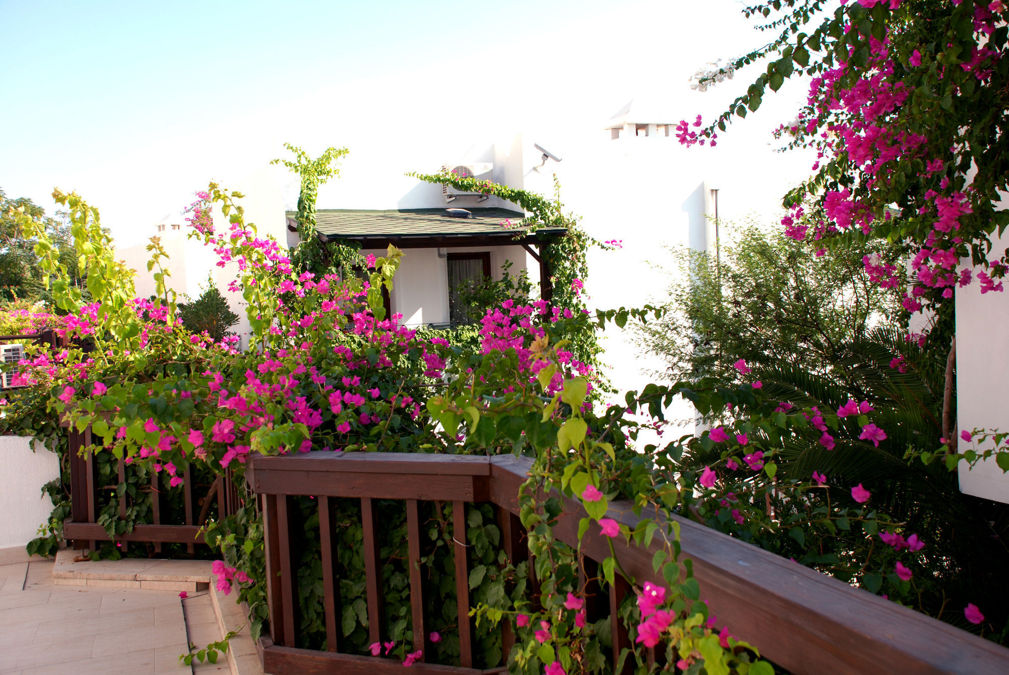 Forever Club (Adults Only) Bodrum Exterior foto